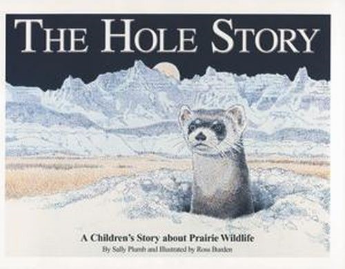 The Hole Story