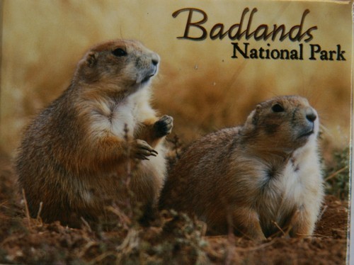 Badlands Prairie Dog Magnet