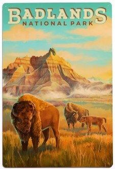 Vintage Badlands Bison Items 33432