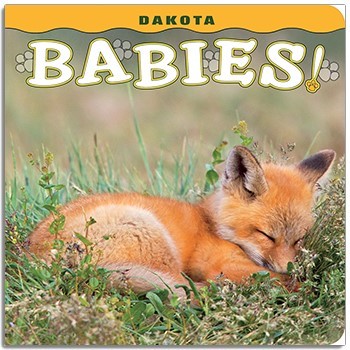 Dakota Babies 9781560376859