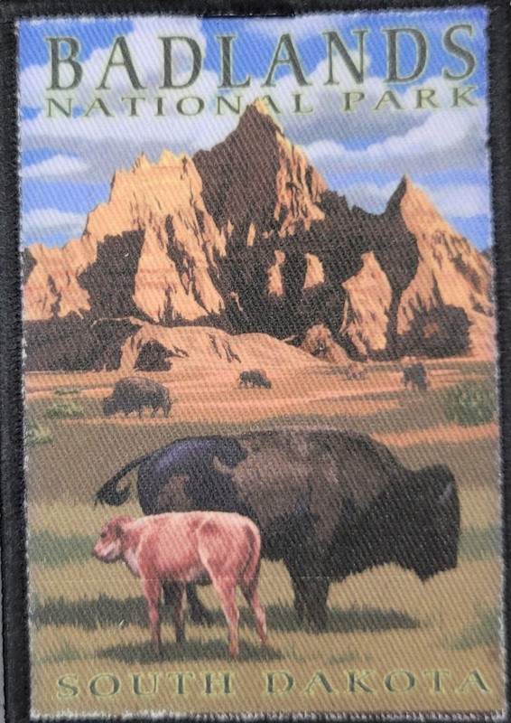 Lantern Press Bison Patch 865311623801