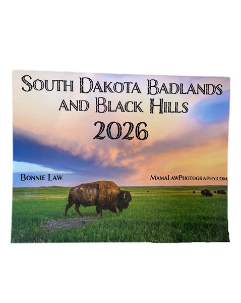 2026 Badlands & Black Hills Calendar 100763